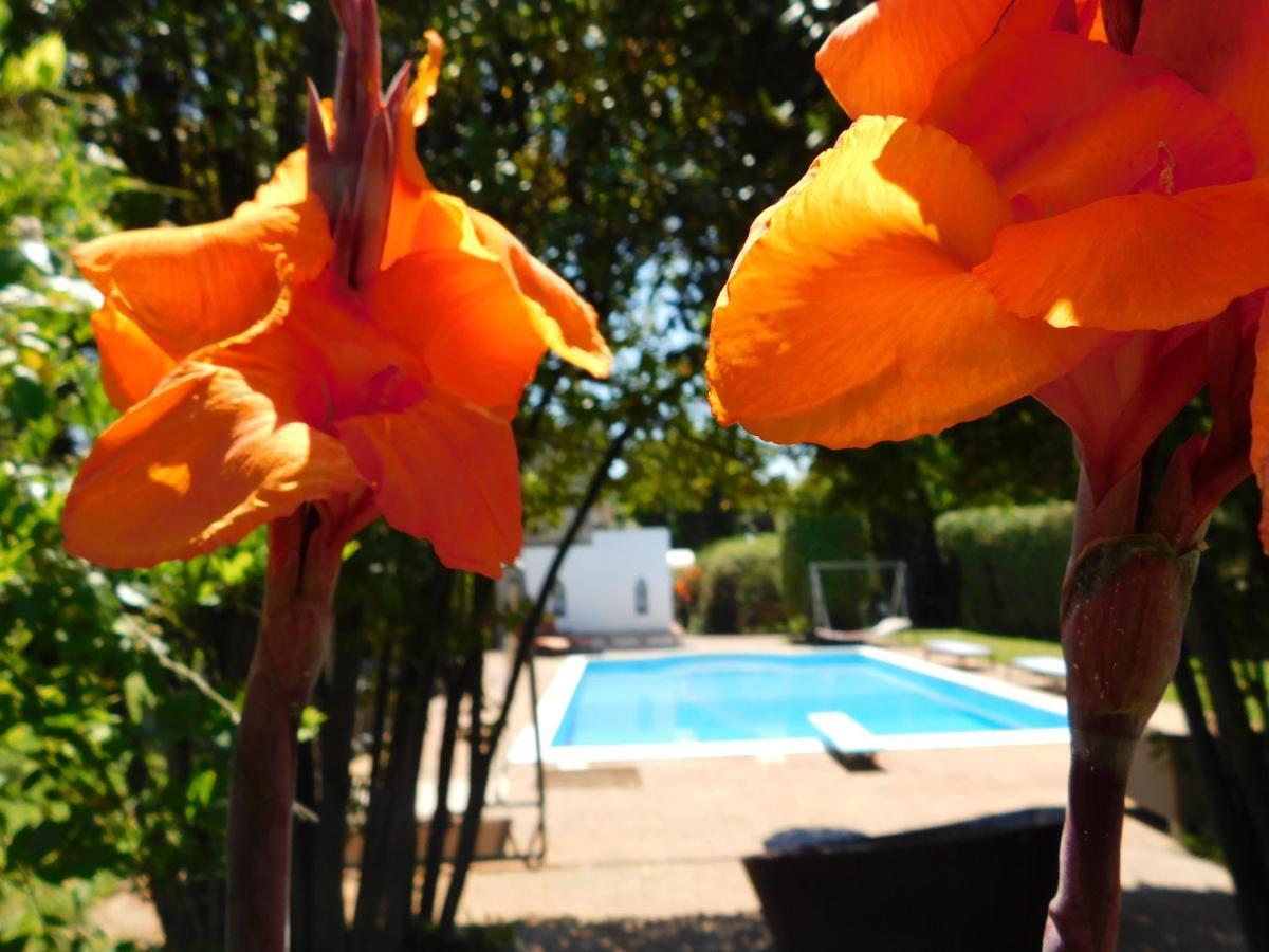קאסקינה Appartamento Con Piscina Immersa Nel Verde מראה חיצוני תמונה