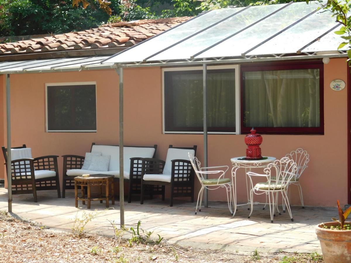 קאסקינה Appartamento Con Piscina Immersa Nel Verde מראה חיצוני תמונה